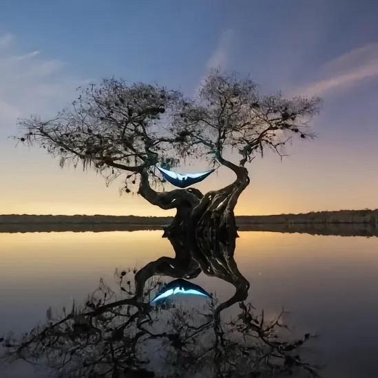 治愈系风景