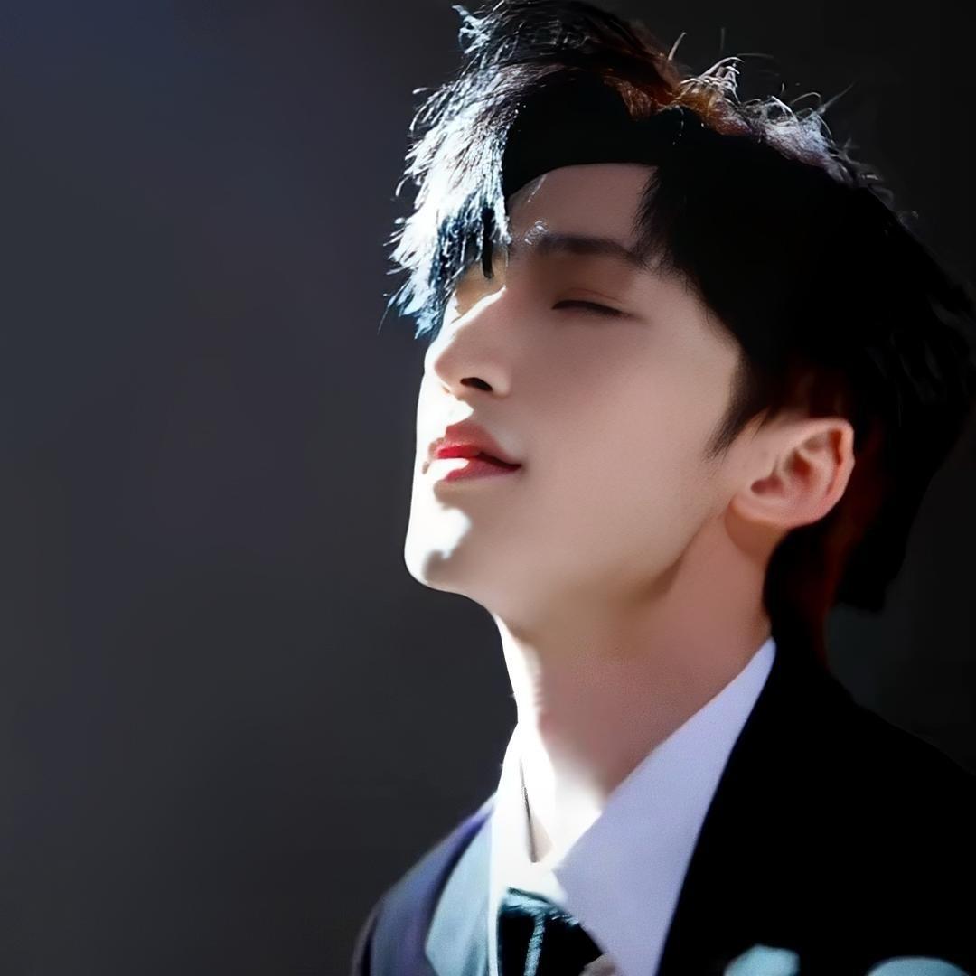 阿辰🦊NPC/AX（想走红毯版）