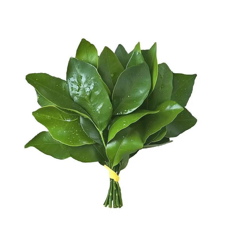 金尚灿