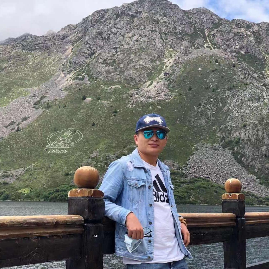 金枪鱼