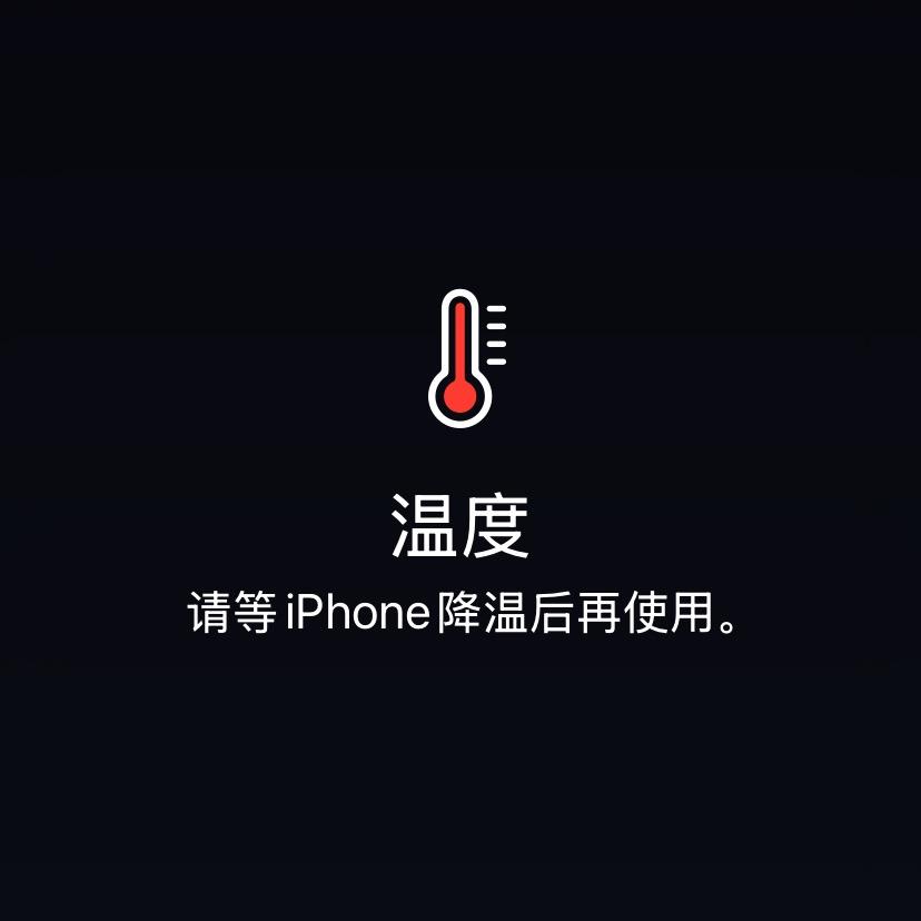 赛诺