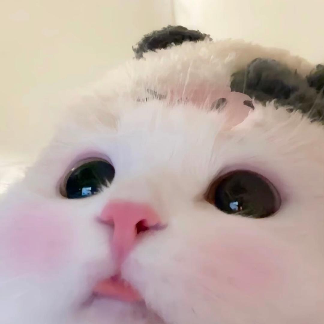 糕糕oni