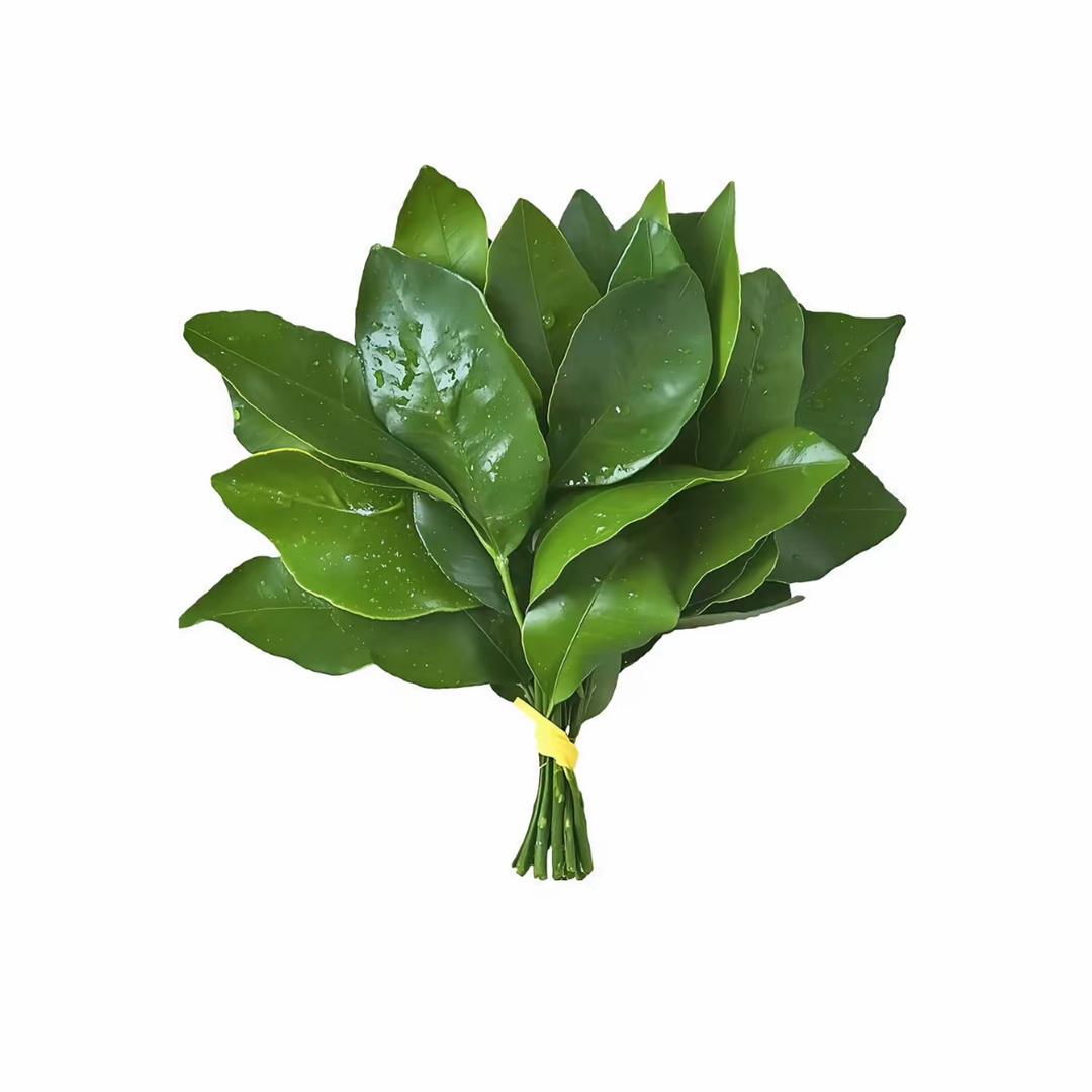 疯。蕊～