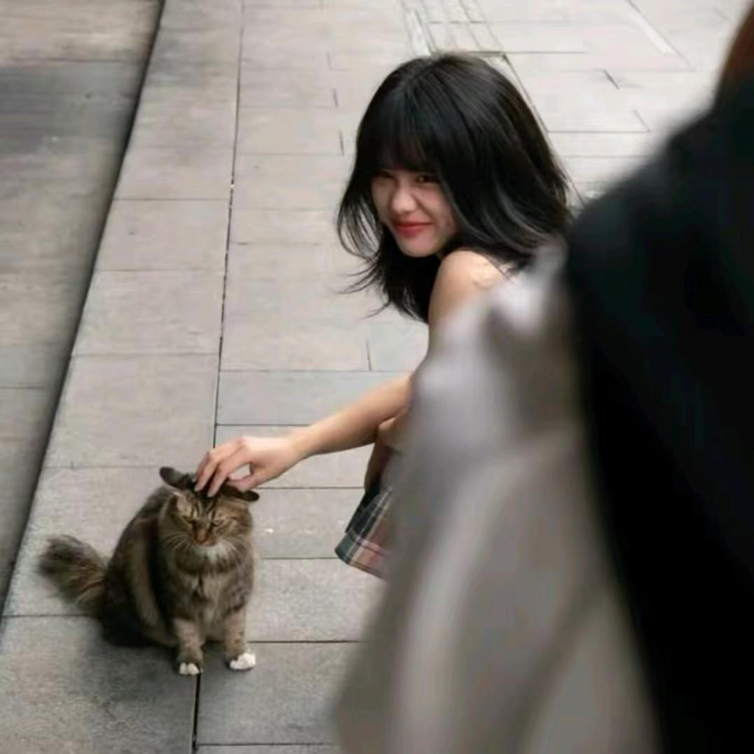 芝麻糊了芝