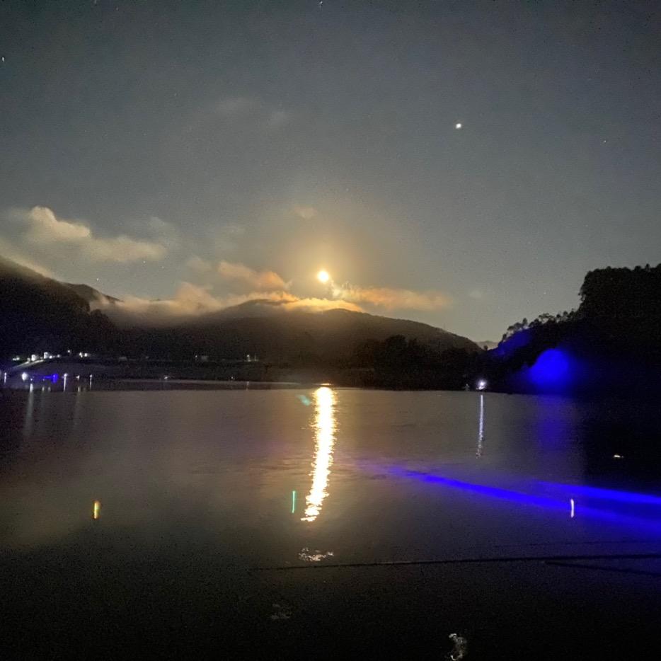 凤凰单丛茶批发