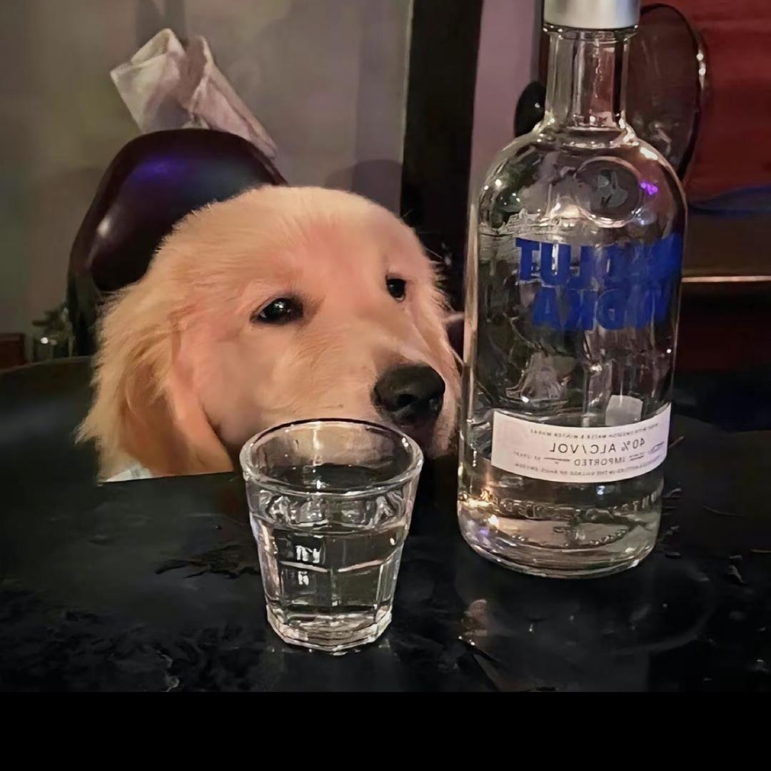 慨