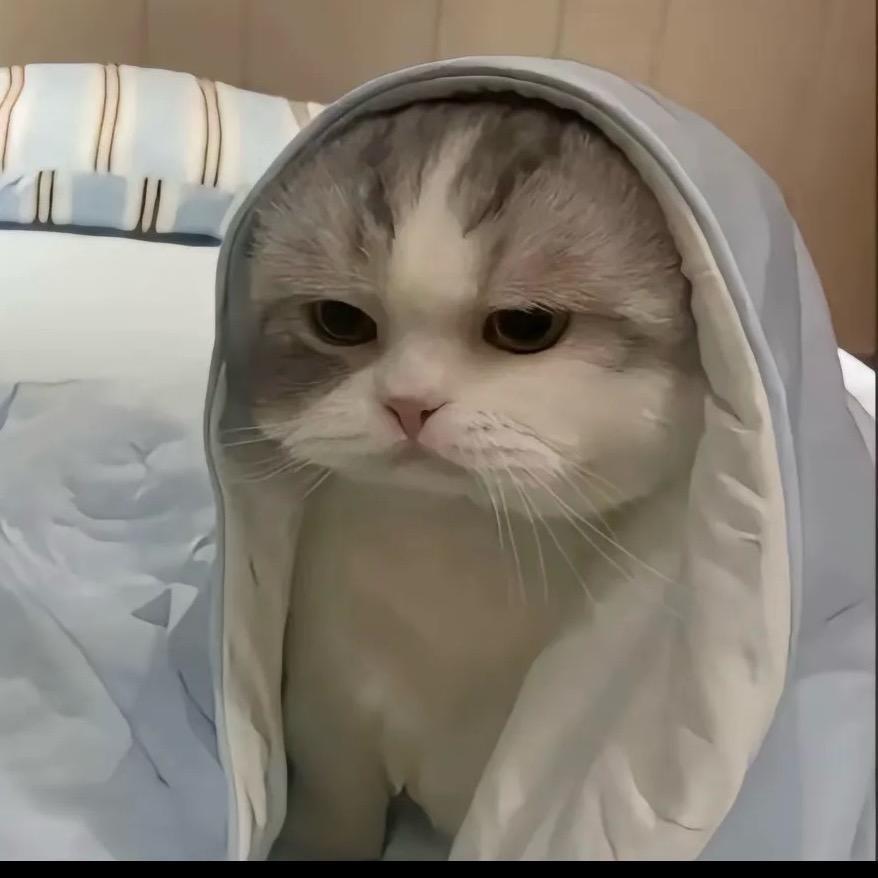 他们都叫我细狗