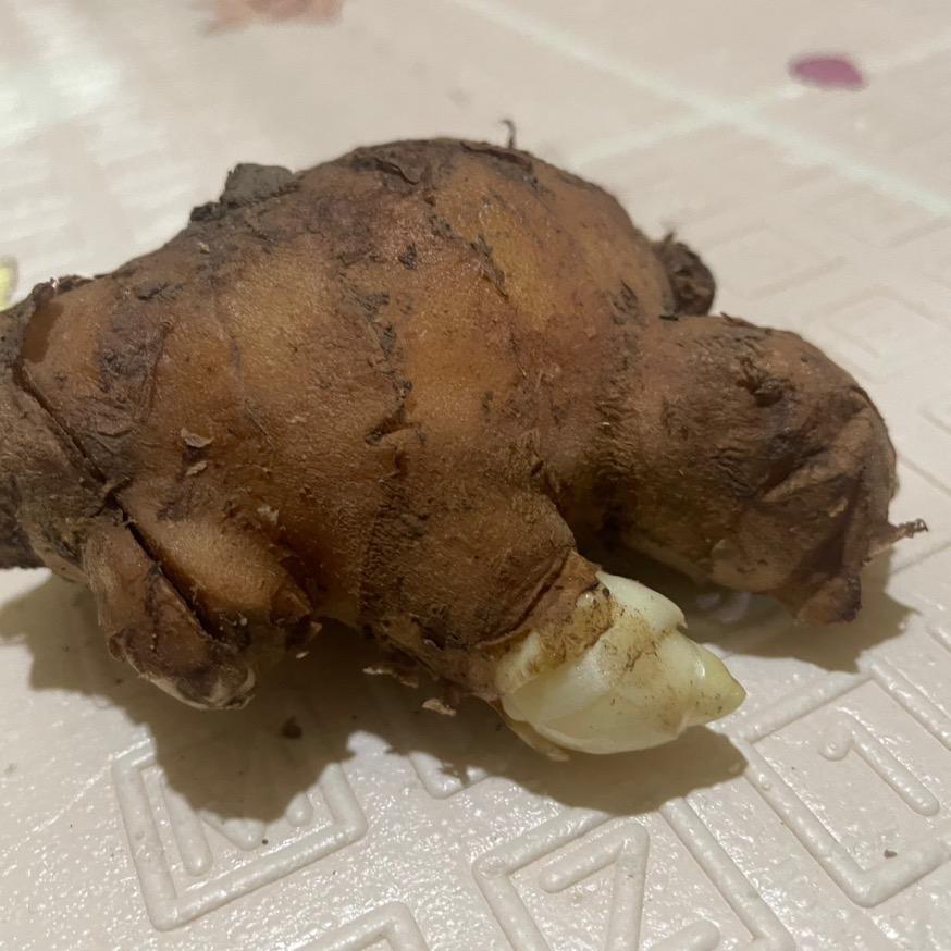 安丘米多多果蔬店