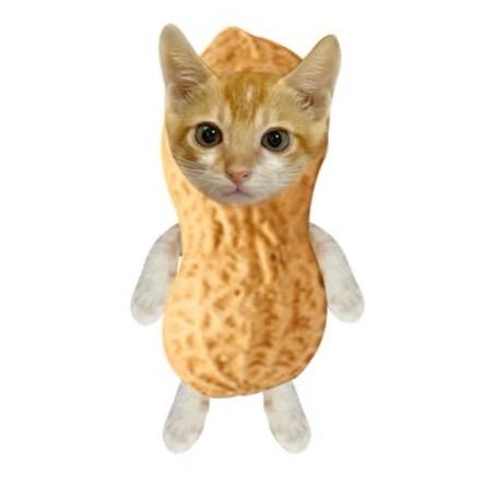 小花生🥜（十勤版）