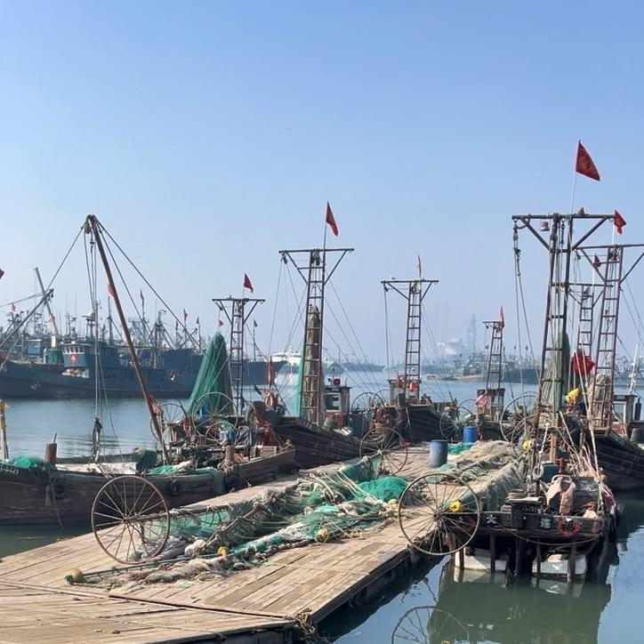 磊子海鲜2号
