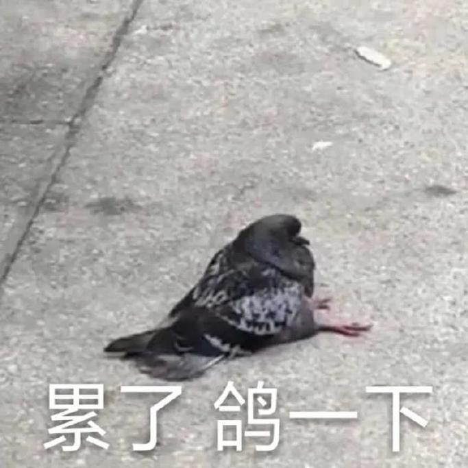 基因强大的小眼睛