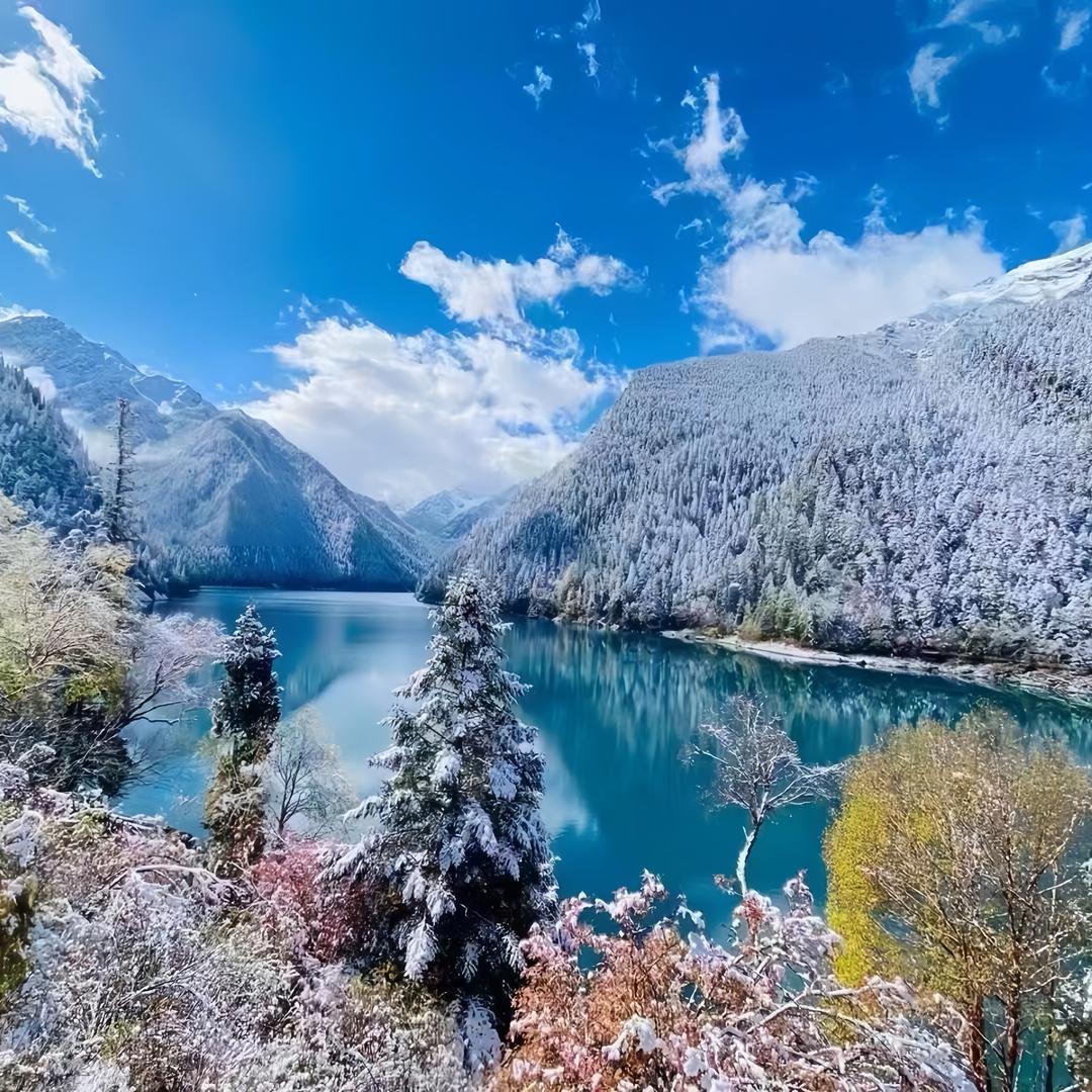 屿木_
