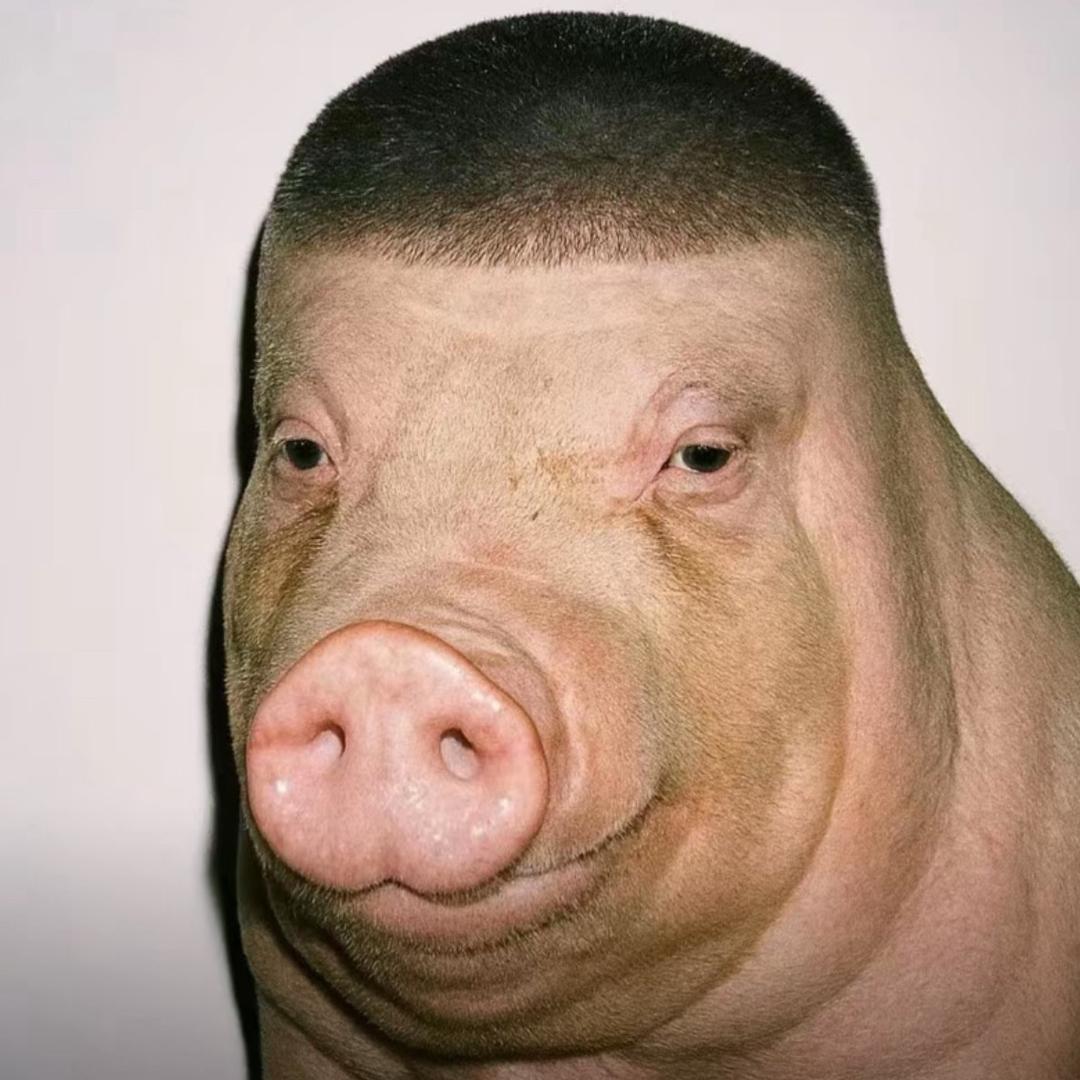 锤子 🔨