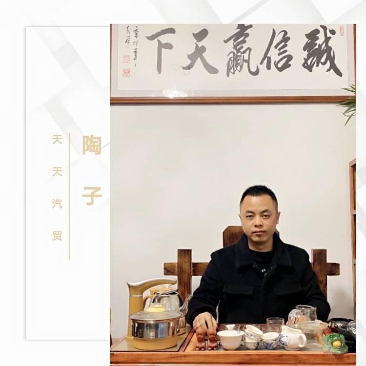 芷江天天汽贸二手车-陶子