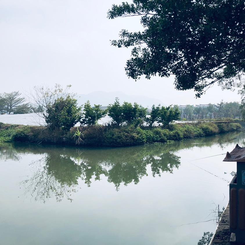 小木桥