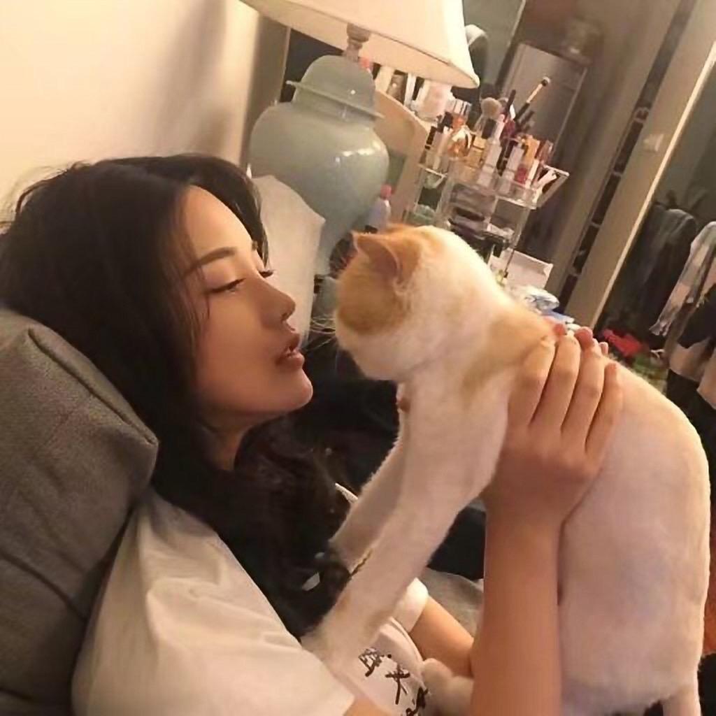 粉红的三叔