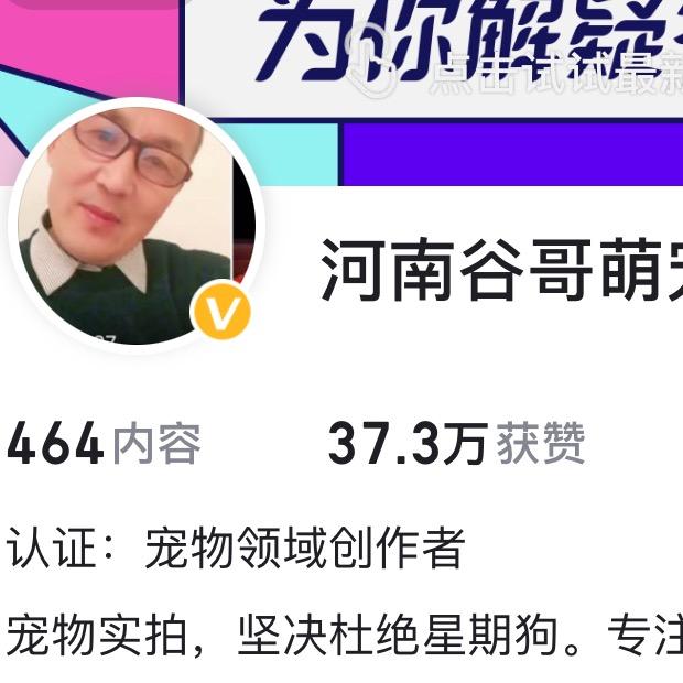 谷哥犬舍