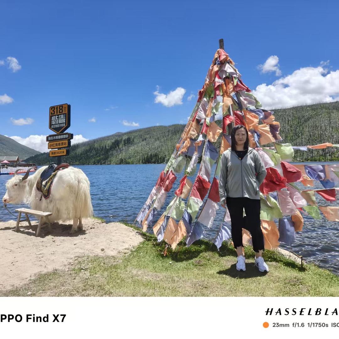 💞࿐🦋ꦿ໊余生᭄🕊随心᭄ꦿᩚ٭