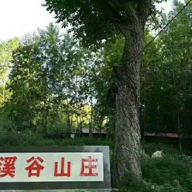 猪圈沟溪谷山庄依水名宿(大燕)