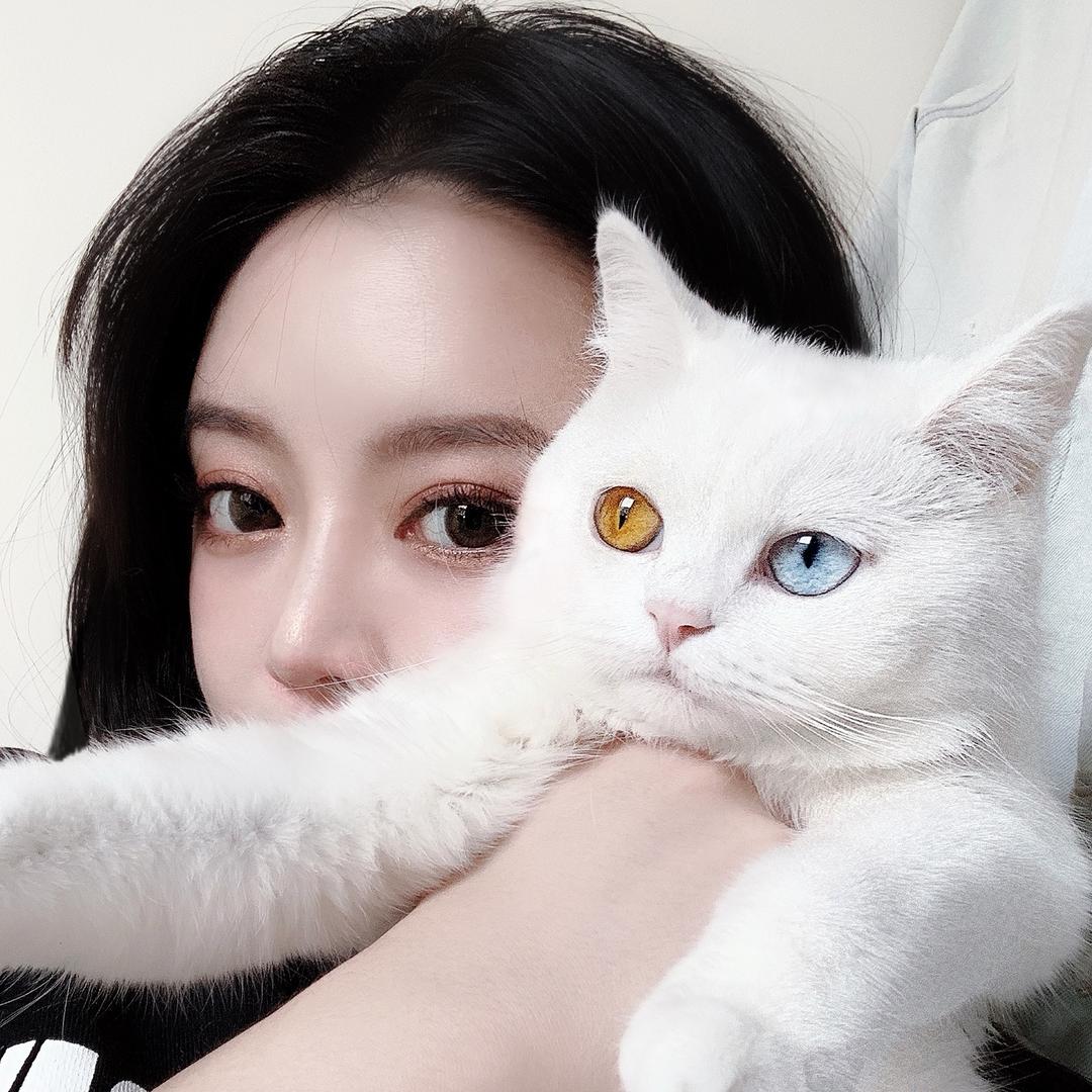 娜NN