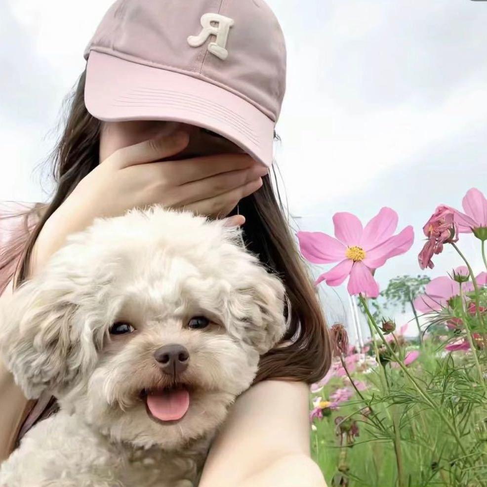 慧慧不会