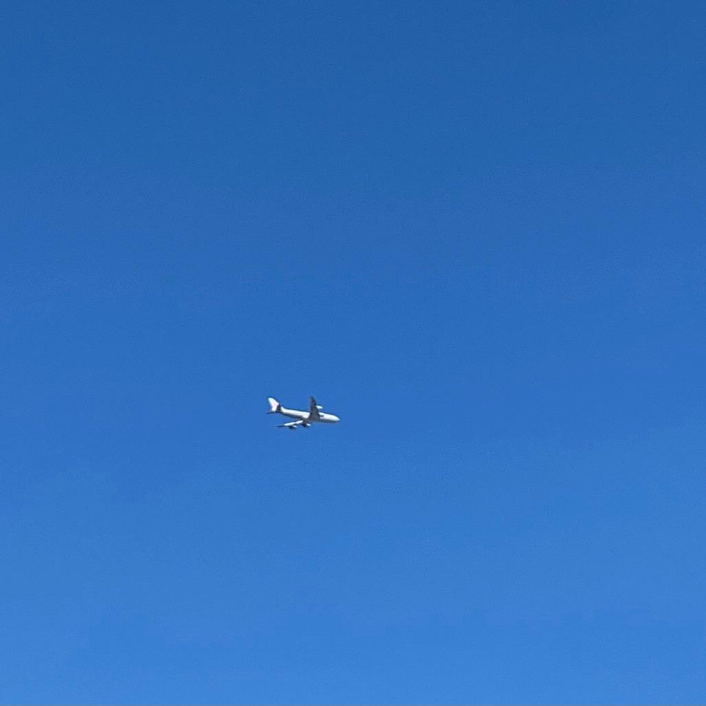 焦皮的反卷日记