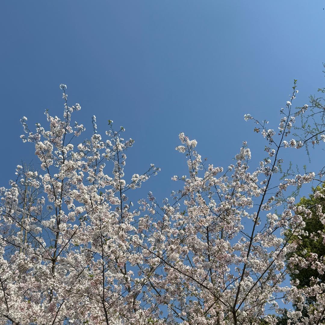 小李同学