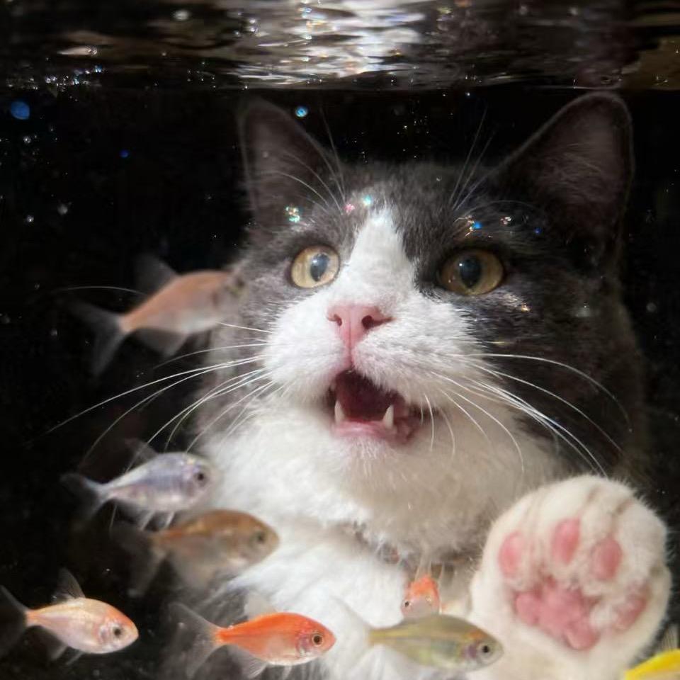 思慕