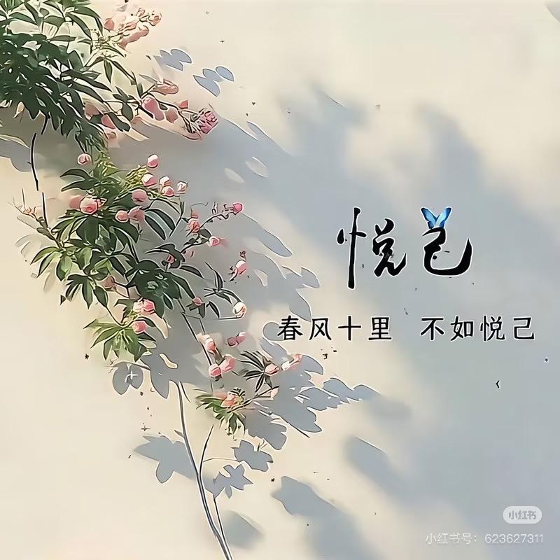 阿妮