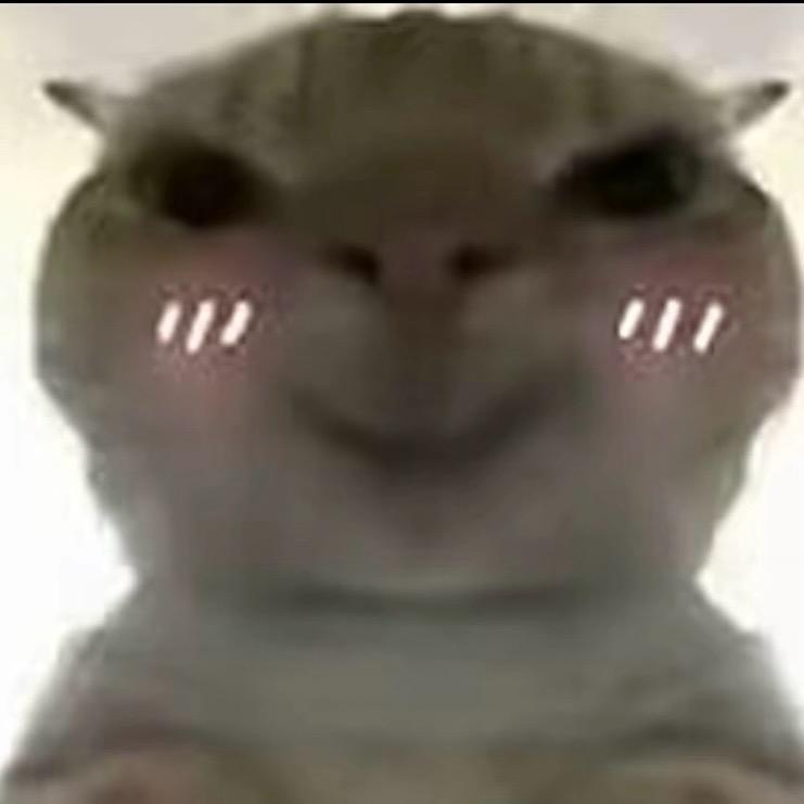 努力的老鼠