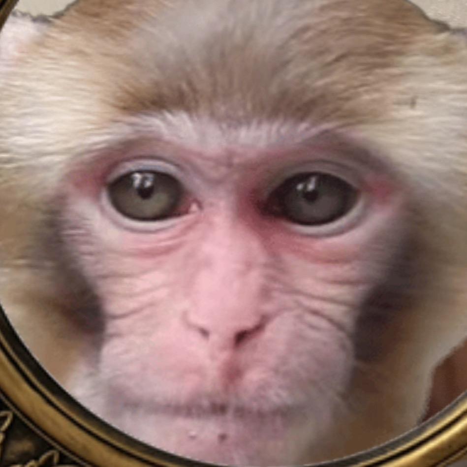 梁钱钱