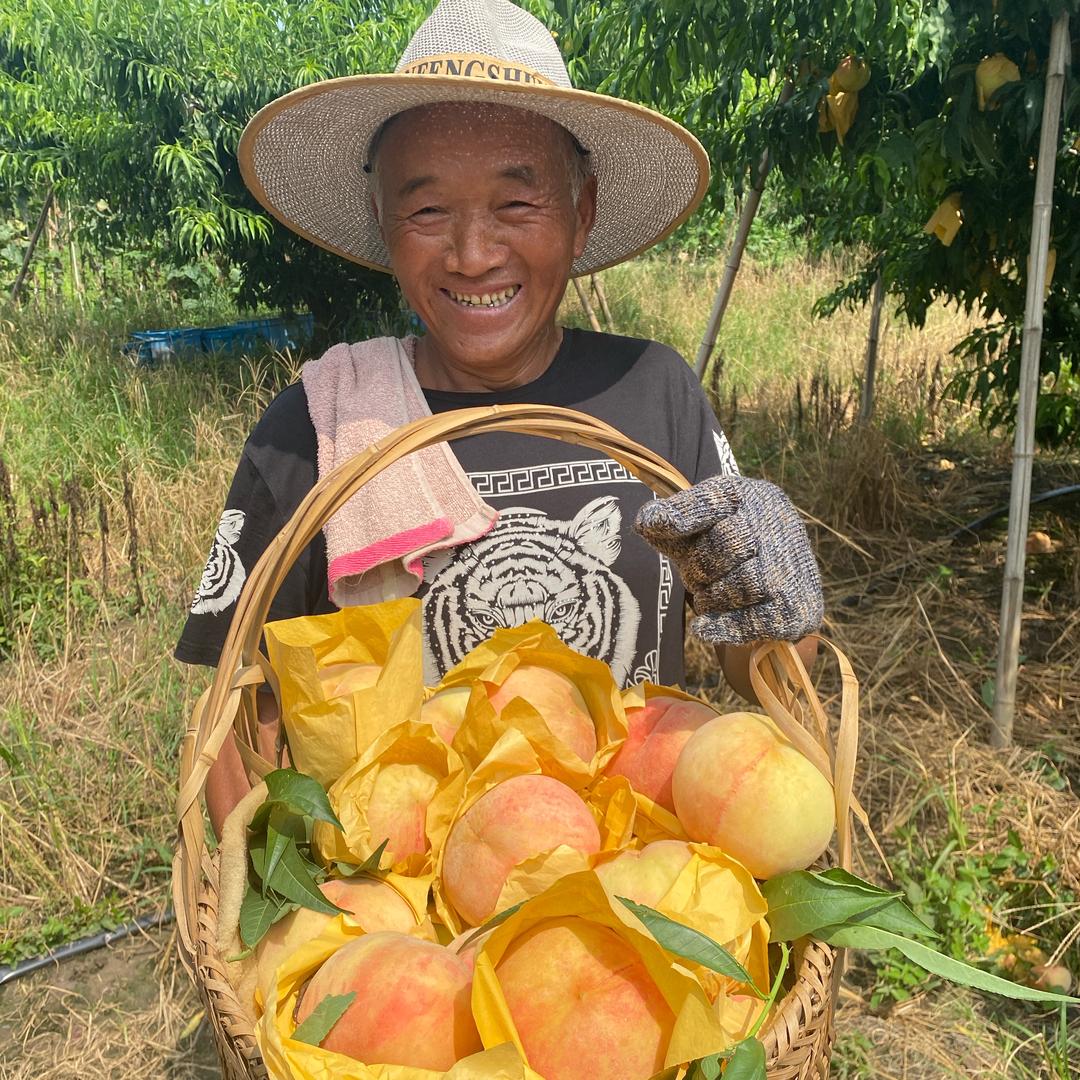 无锡朝阳批发市场