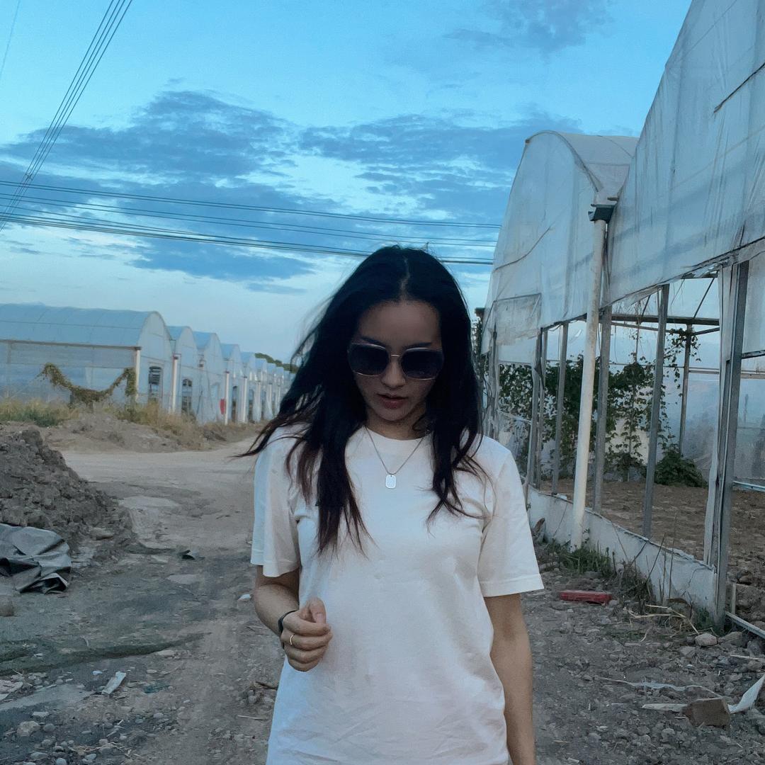 吃草仙子（羽衣甘蓝）