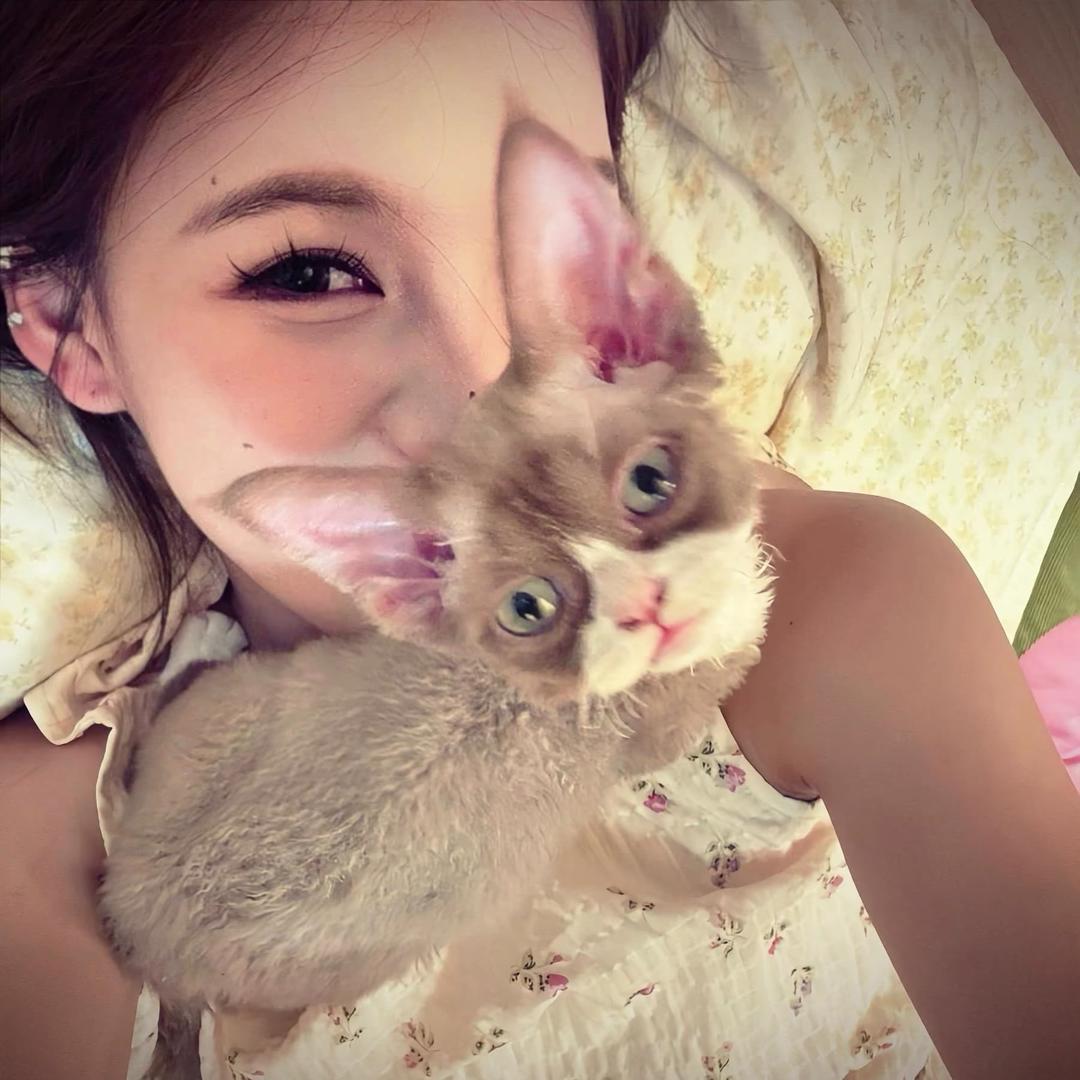 KittenClaws