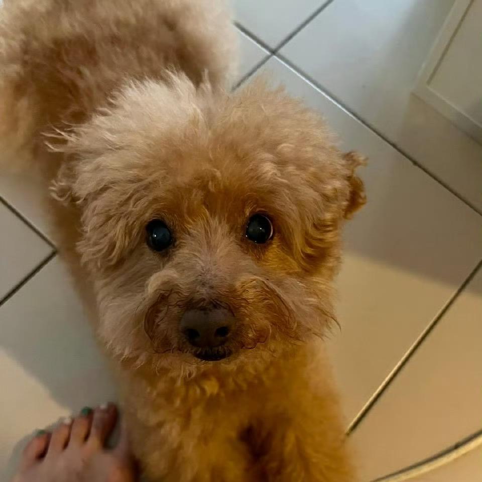 脚趾毛放风筝戳破苍穹.