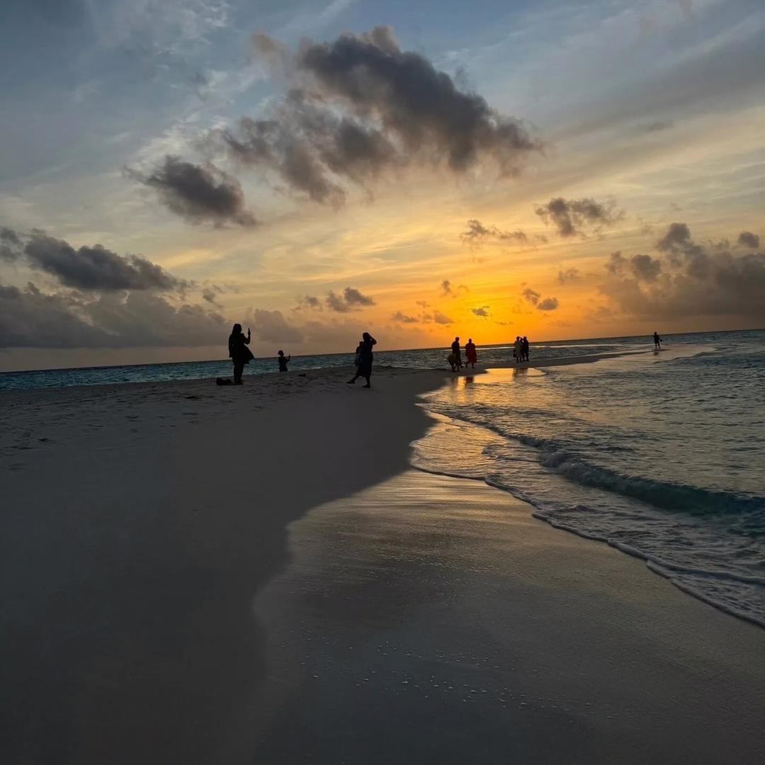 宠粉助手🎈备货中