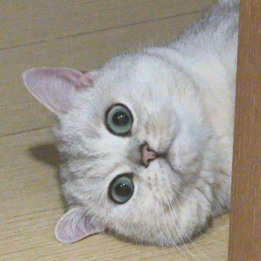 fumi💕