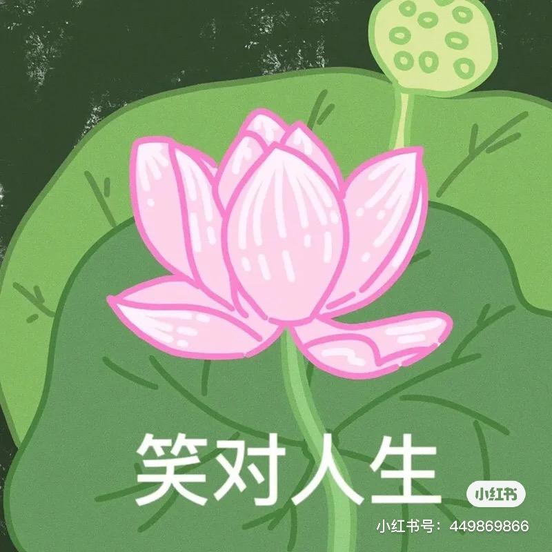 元气少女猪刚鬣🐷