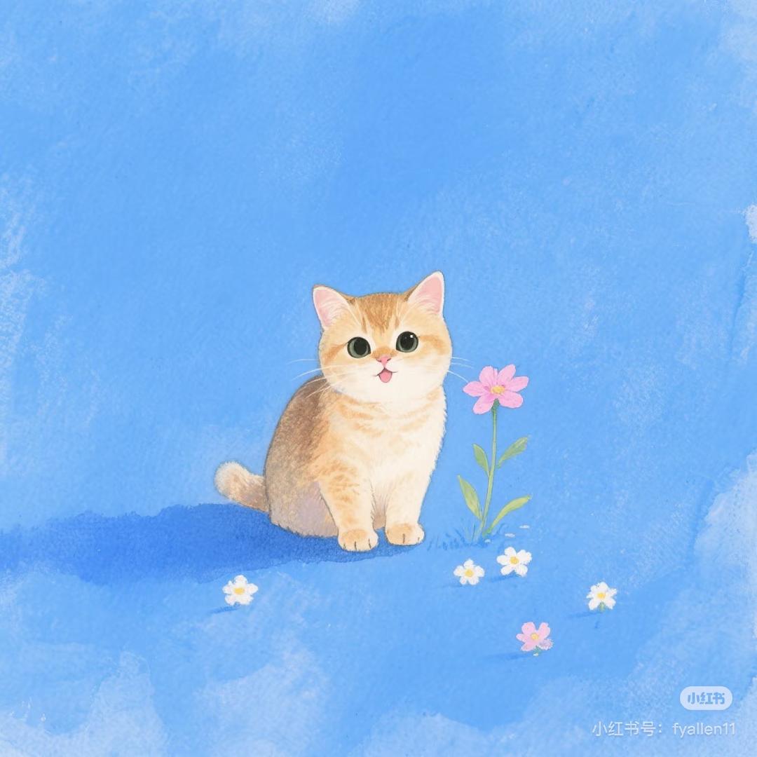 懒大王的猫
