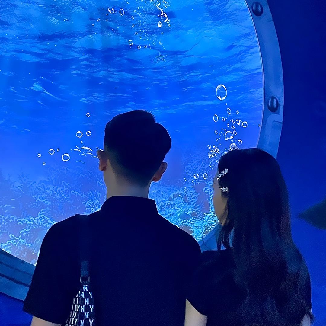 W 。