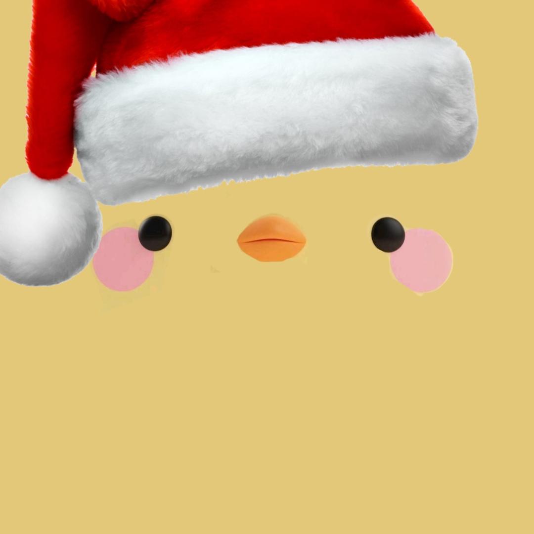 小鸡（12.27生日版）