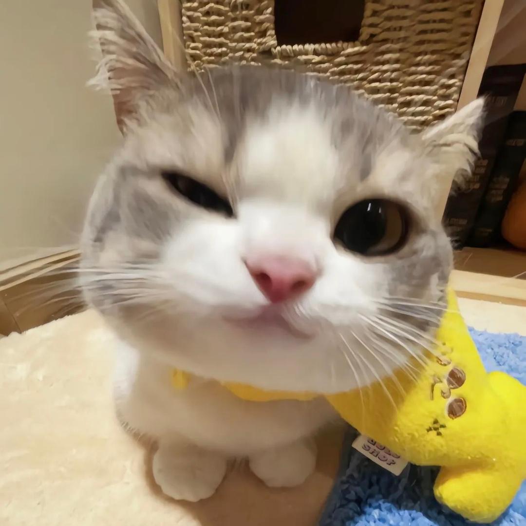 不吃了好吧.