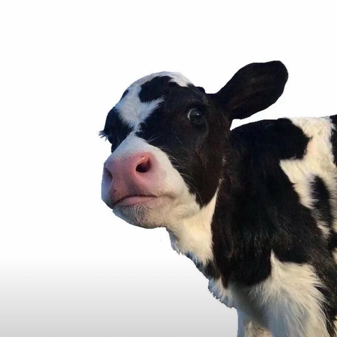 1男的.            　　༽