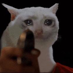 猴子来自甲斐山