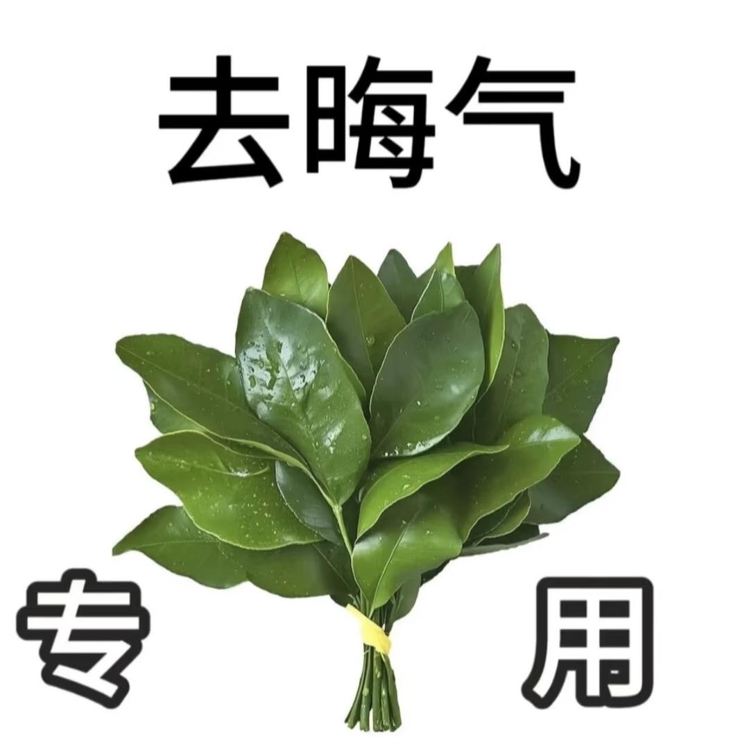 屁股带火别惹我