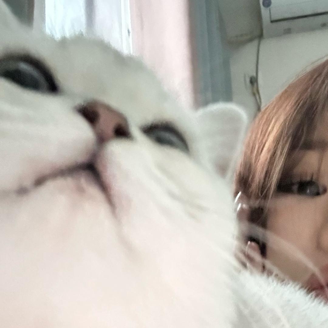 我有猫