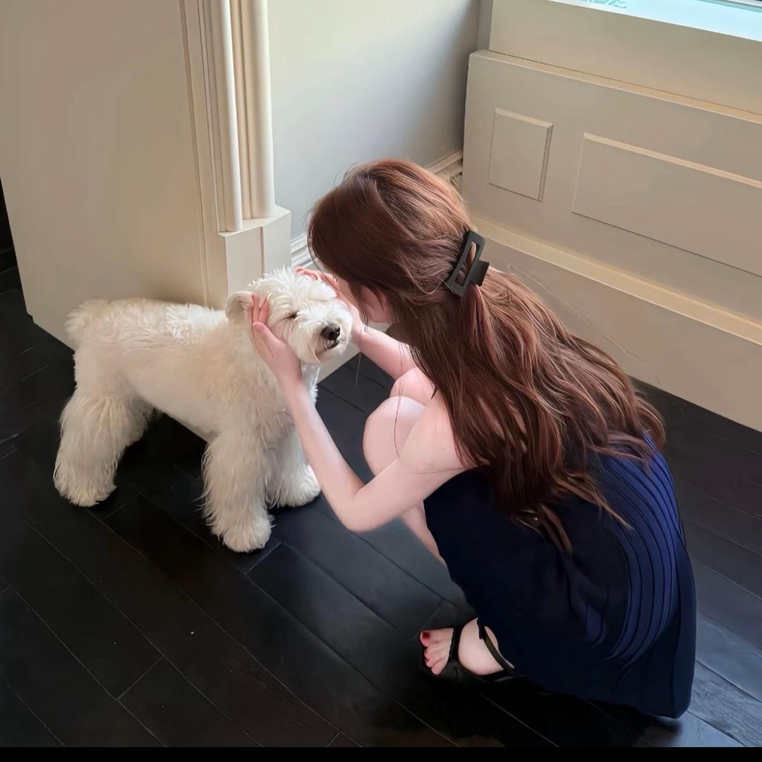 小熊汉堡🍔（发财版