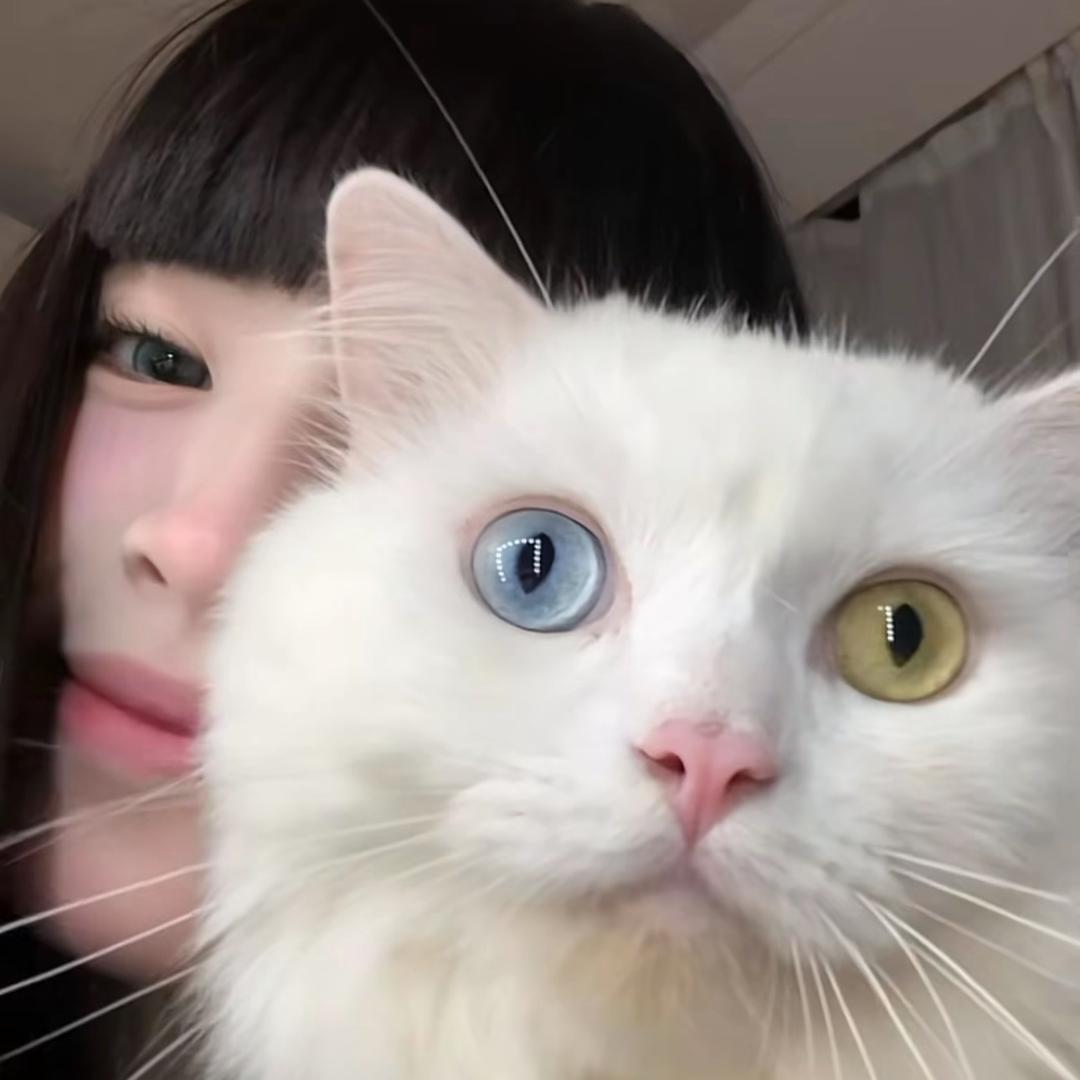 初见^