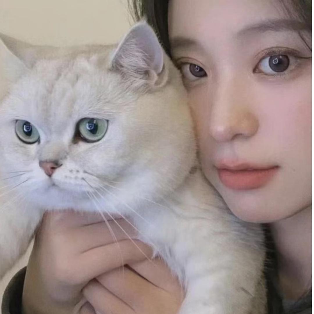 夹心小猫
