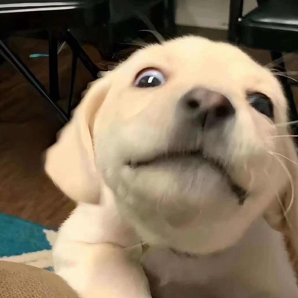 &^_^